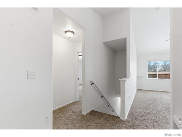 1070 Mt Oxford Avenue, Severance, CO 80550