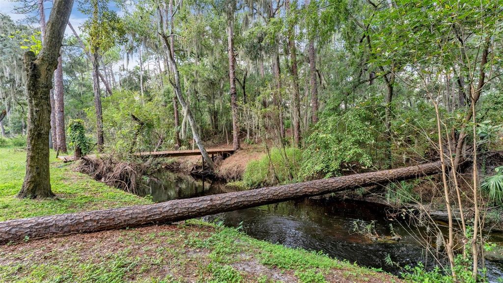 Image 56 of property listing at 1743 ITCHEPACKESASSA DRIVE, Lakeland, FL 33810