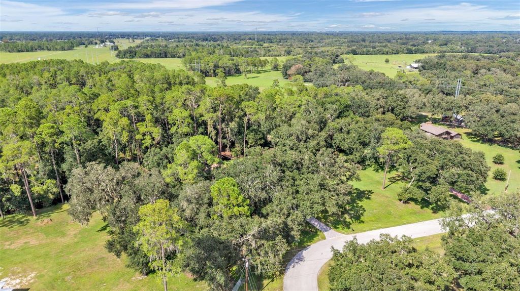 Image 59 of property listing at 1743 ITCHEPACKESASSA DRIVE, Lakeland, FL 33810