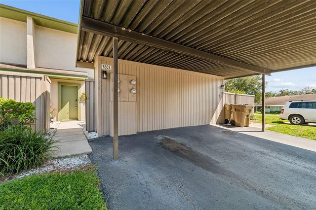 7803 AMBERLEA COURT, Temple Terrace, FL 33637