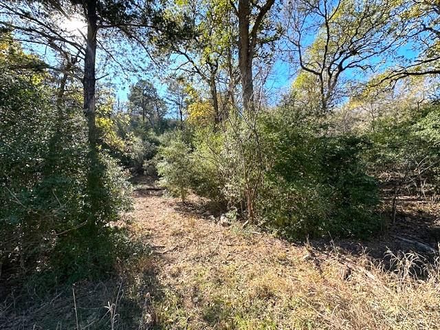 506 Tahitian DR, Bastrop, TX 78602