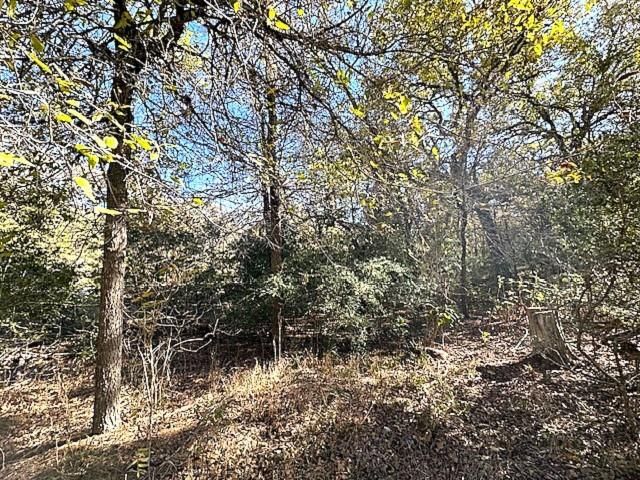 506 Tahitian DR, Bastrop, TX 78602