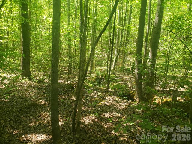 3727 Mount Beulah Road 5, Sherrills Ford, NC 28673
