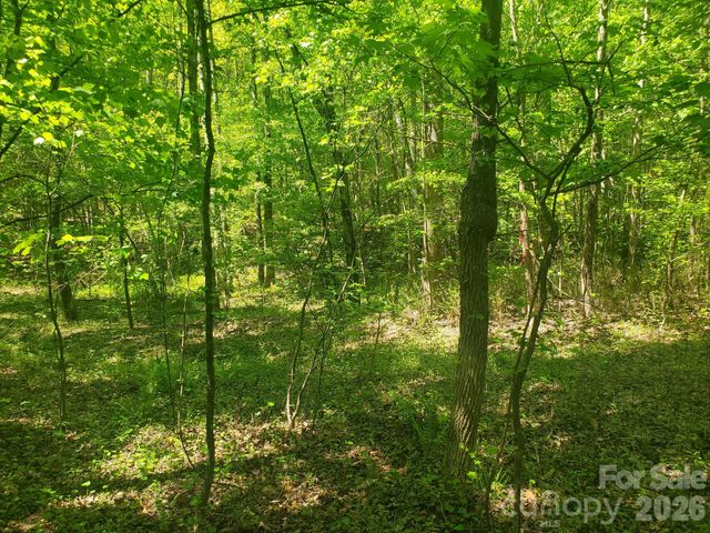 3727 Mount Beulah Road 5, Sherrills Ford, NC 28673