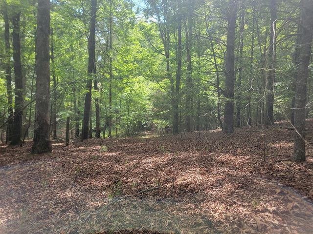 44 Sugar Maple Road, Murphy, NC 28906