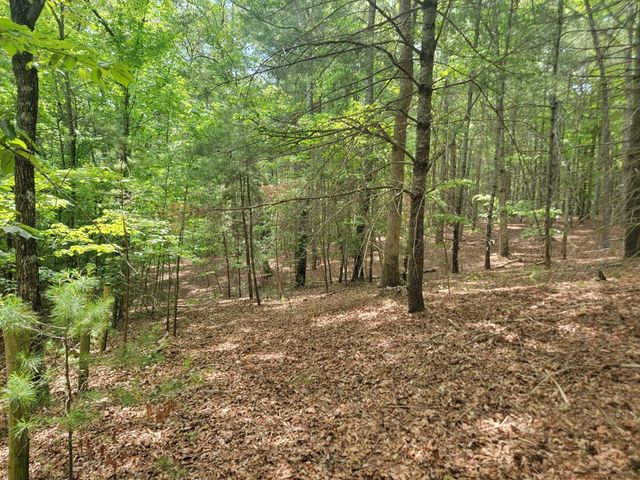 44 Sugar Maple Road, Murphy, NC 28906