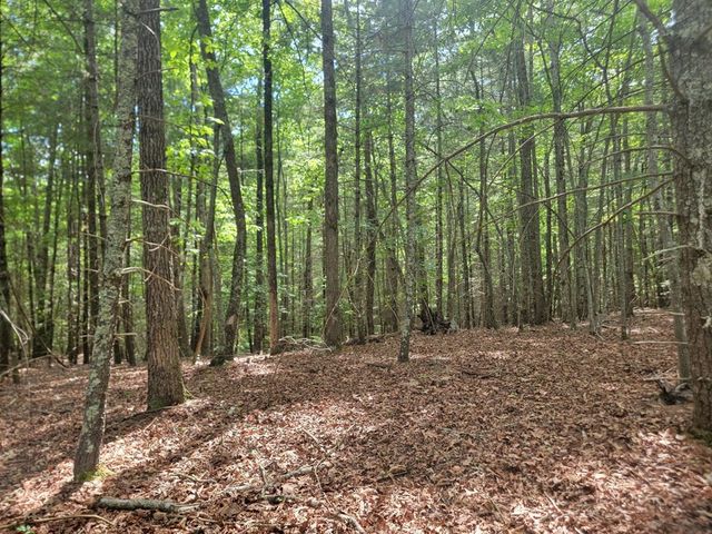 44 Sugar Maple Road, Murphy, NC 28906