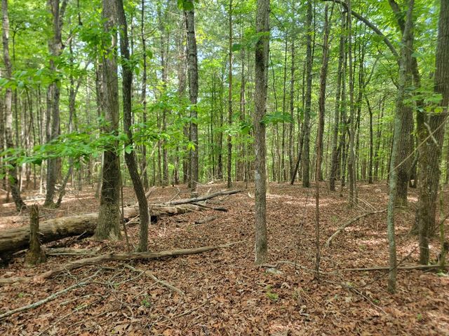 44 Sugar Maple Road, Murphy, NC 28906