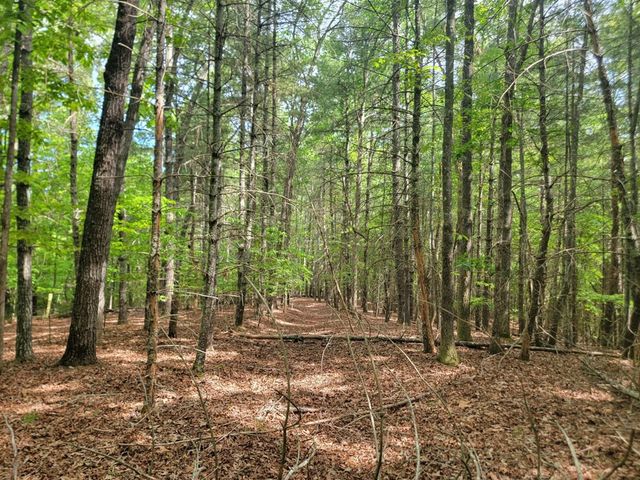 44 Sugar Maple Road, Murphy, NC 28906