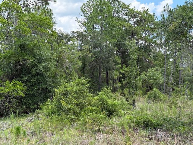 00 NE 65TH TERRACE, Williston, FL 32696