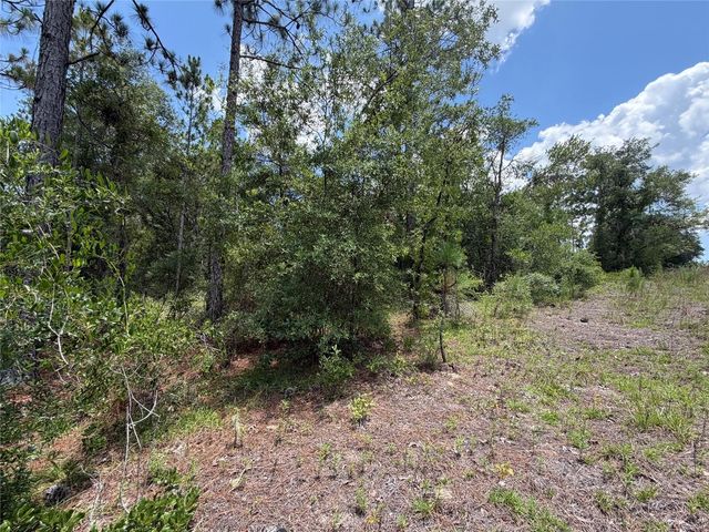 00 NE 65TH TERRACE, Williston, FL 32696