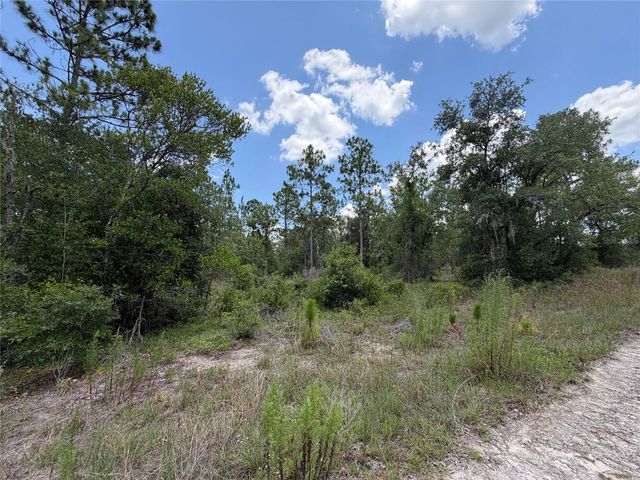 00 NE 65TH TERRACE, Williston, FL 32696