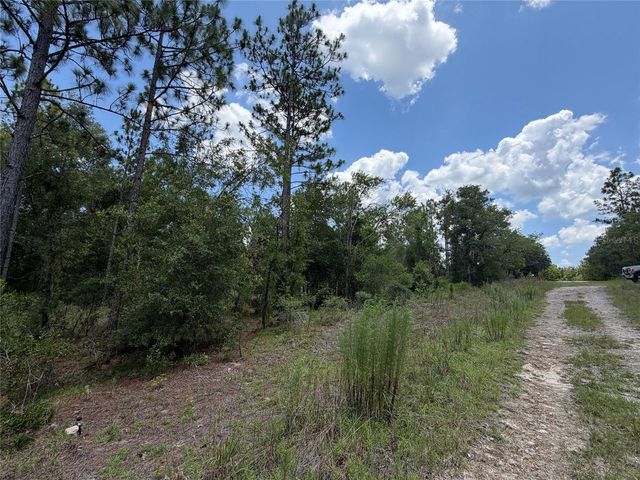 00 NE 65TH TERRACE, Williston, FL 32696