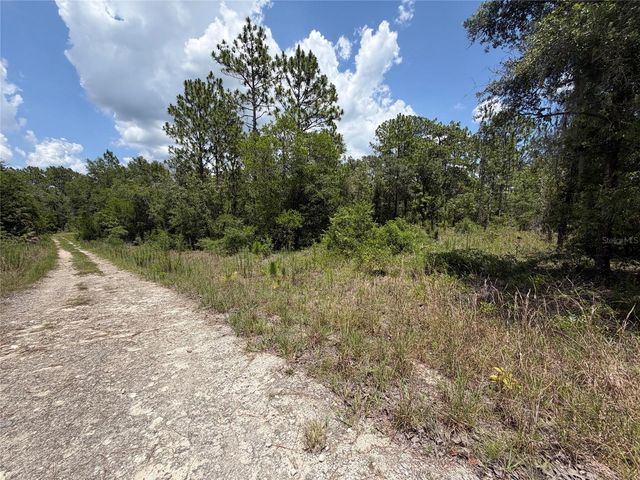 00 NE 65TH TERRACE, Williston, FL 32696
