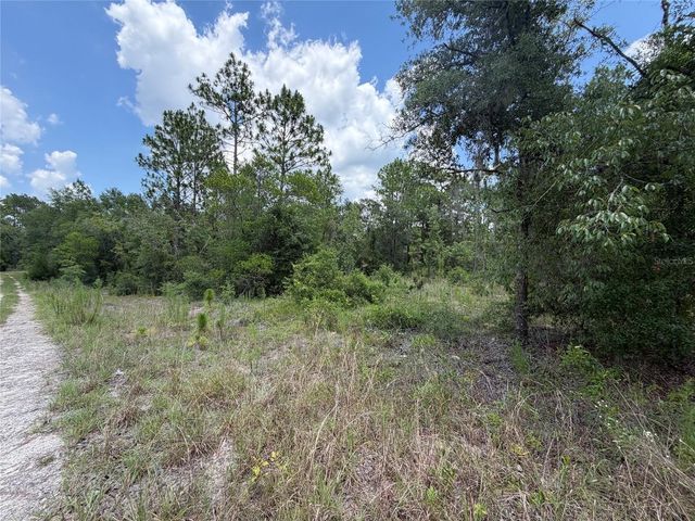 00 NE 65TH TERRACE, Williston, FL 32696