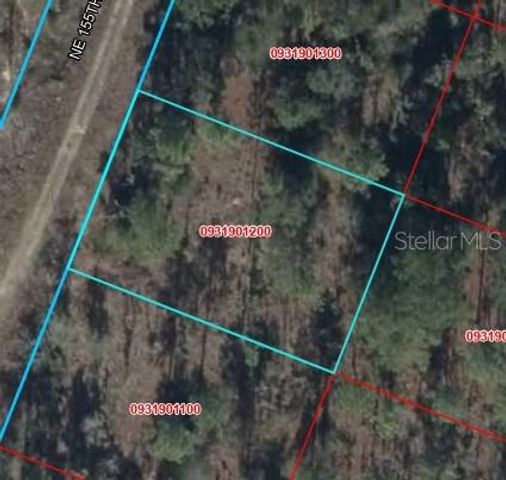 00 NE 65TH TERRACE, Williston, FL 32696