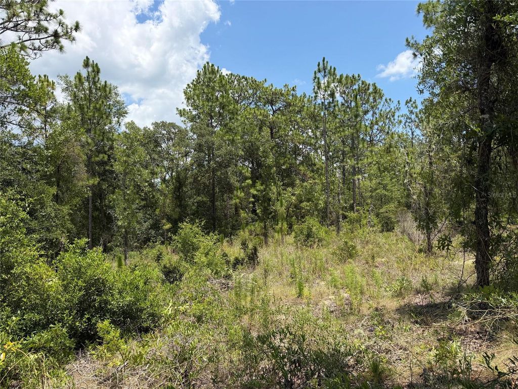 00 NE 65TH TERRACE, Williston, FL 32696