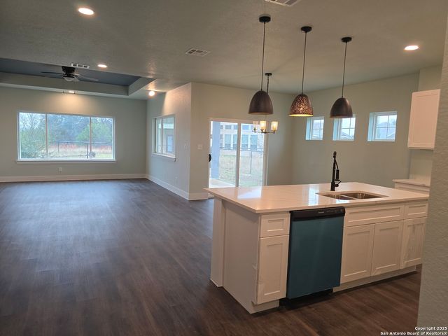 206 Lewis Todd, Blanco, TX 78606