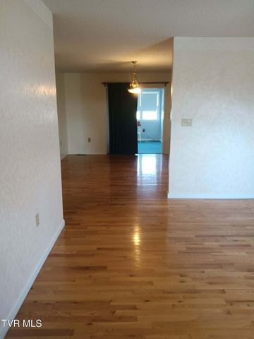 14512 White Top View, Abingdon, VA 24210