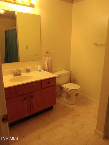 14512 White Top View, Abingdon, VA 24210