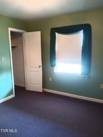 14512 White Top View, Abingdon, VA 24210
