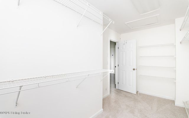 3155 Bushmill Park, Louisville, KY 40241
