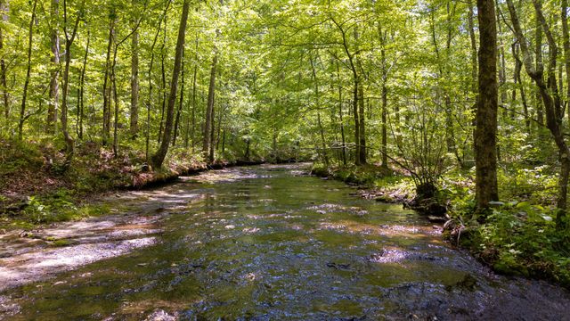 185 Ravenridge Rd, Summertown, TN 38483