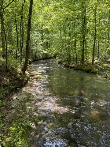 185 Ravenridge Rd, Summertown, TN 38483