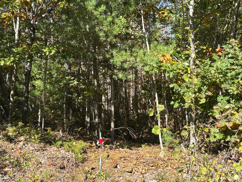 TBD Mills Road, Kennebunkport, ME 04046 — photo 3