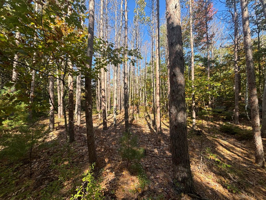 TBD Mills Road, Kennebunkport, ME 04046 — photo 5