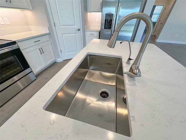 17216 MANGO SHAY COURT, Land O Lakes, FL 34638