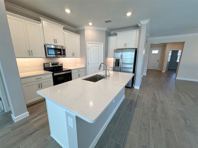 17216 MANGO SHAY COURT, Land O Lakes, FL 34638