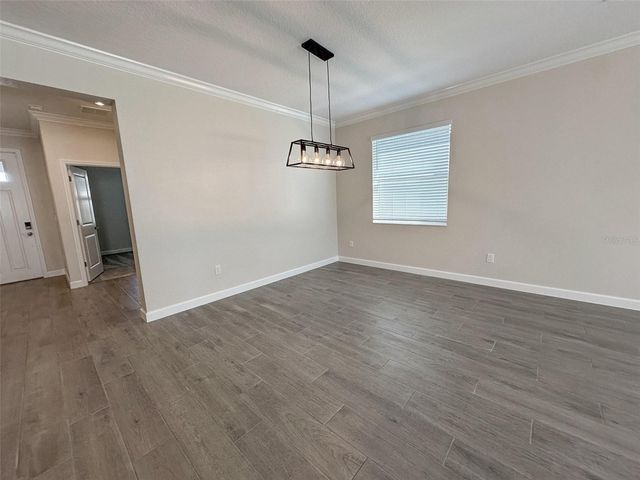 17216 MANGO SHAY COURT, Land O Lakes, FL 34638