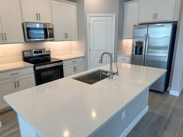 17216 MANGO SHAY COURT, Land O Lakes, FL 34638