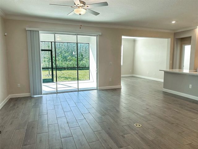 17216 MANGO SHAY COURT, Land O Lakes, FL 34638