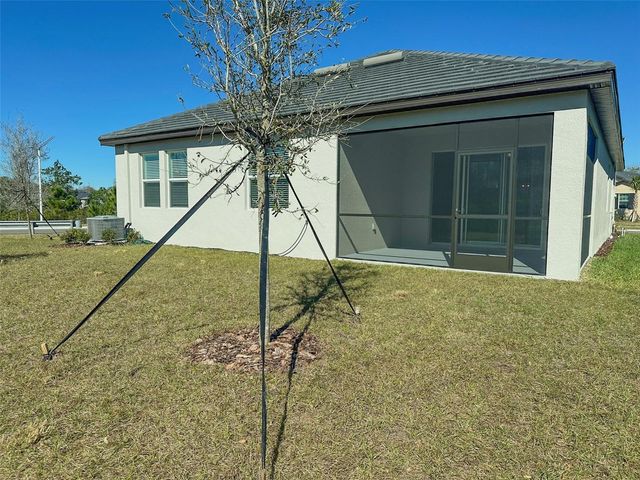 17216 MANGO SHAY COURT, Land O Lakes, FL 34638