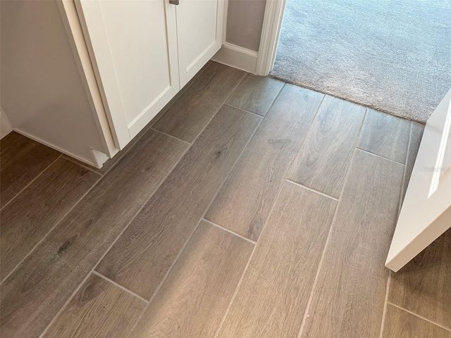 17216 MANGO SHAY COURT, Land O Lakes, FL 34638