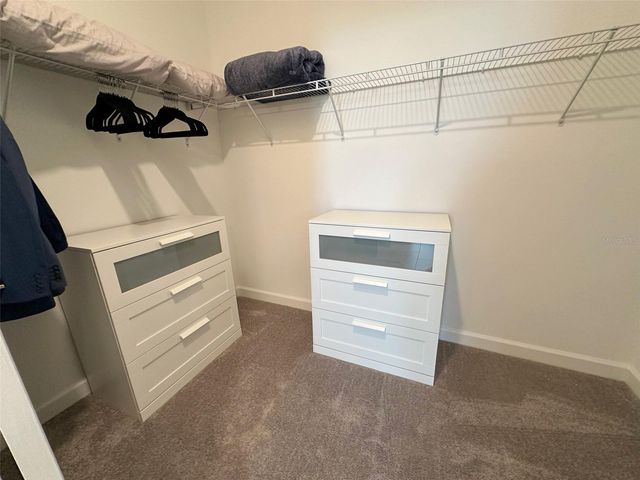 17216 MANGO SHAY COURT, Land O Lakes, FL 34638