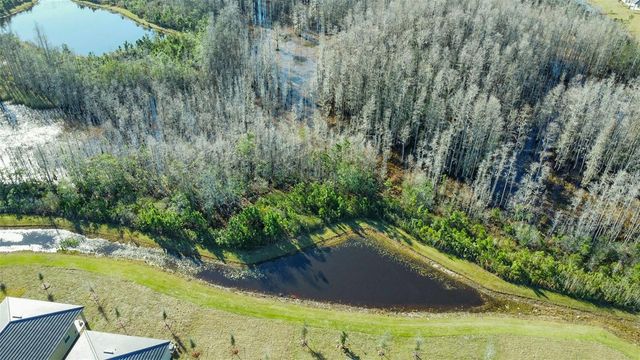 17216 MANGO SHAY COURT, Land O Lakes, FL 34638