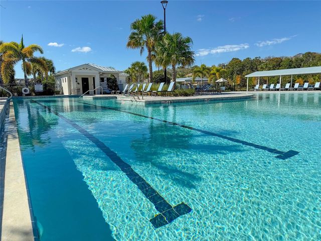 17216 MANGO SHAY COURT, Land O Lakes, FL 34638