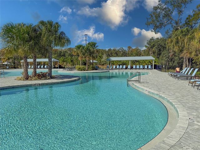 17216 MANGO SHAY COURT, Land O Lakes, FL 34638