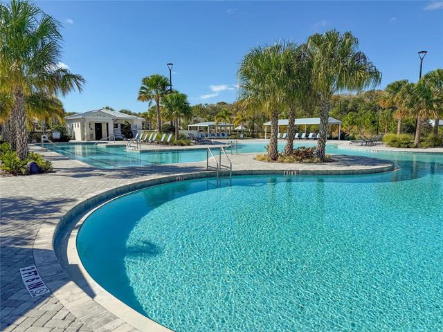 17216 MANGO SHAY COURT, Land O Lakes, FL 34638