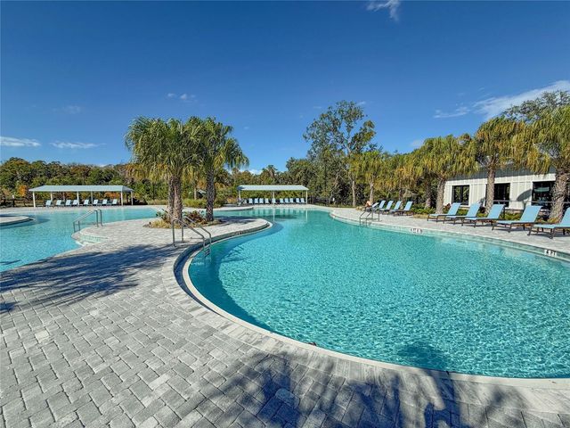 17216 MANGO SHAY COURT, Land O Lakes, FL 34638