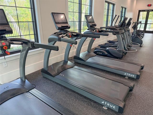 17216 MANGO SHAY COURT, Land O Lakes, FL 34638