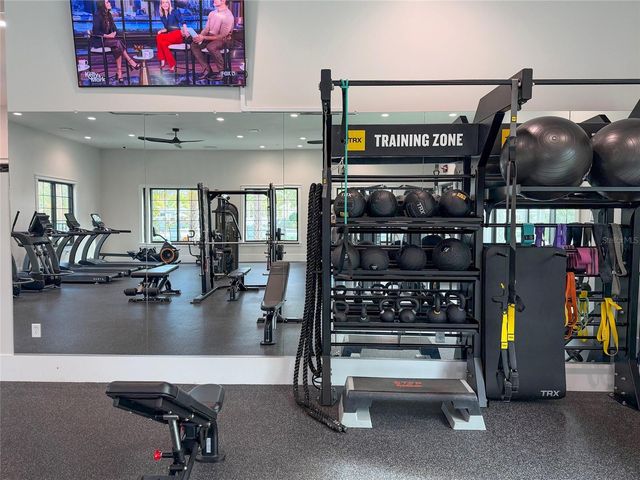 17216 MANGO SHAY COURT, Land O Lakes, FL 34638