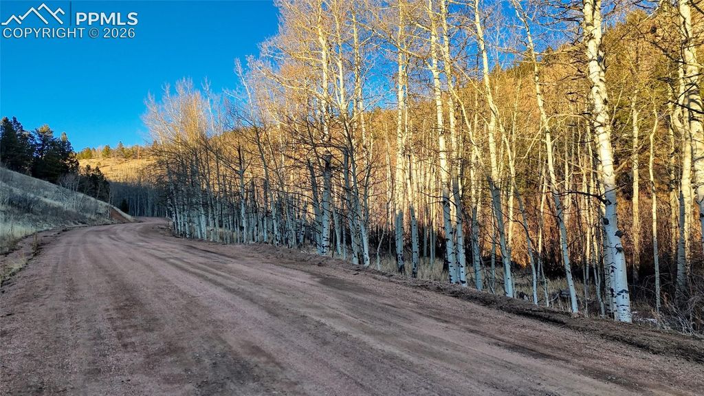 524 Buckhorn Road, Cripple Creek, CO 80813 — photo 2