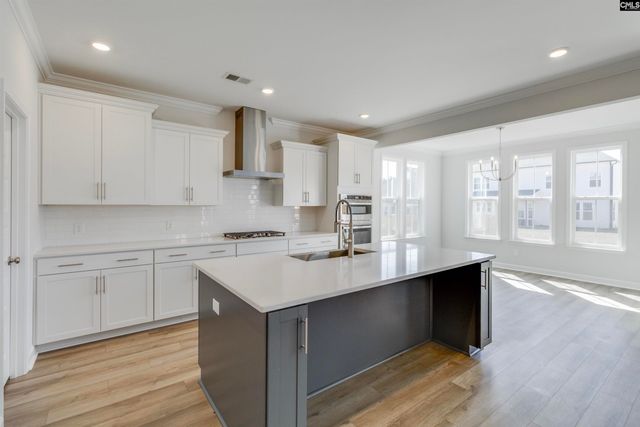 407 Rising Stream Way, Chapin, SC 29036