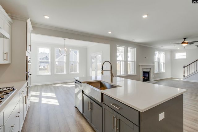 407 Rising Stream Way, Chapin, SC 29036