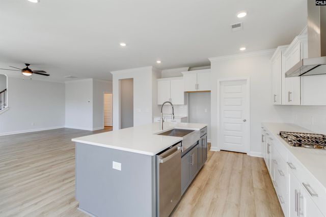 407 Rising Stream Way, Chapin, SC 29036