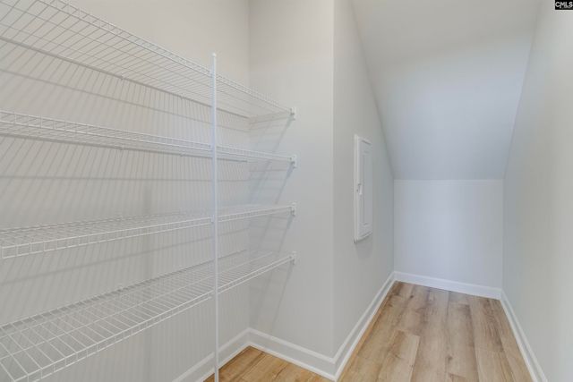 407 Rising Stream Way, Chapin, SC 29036